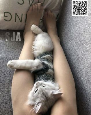 久久久.com_DVD超清免费观看
